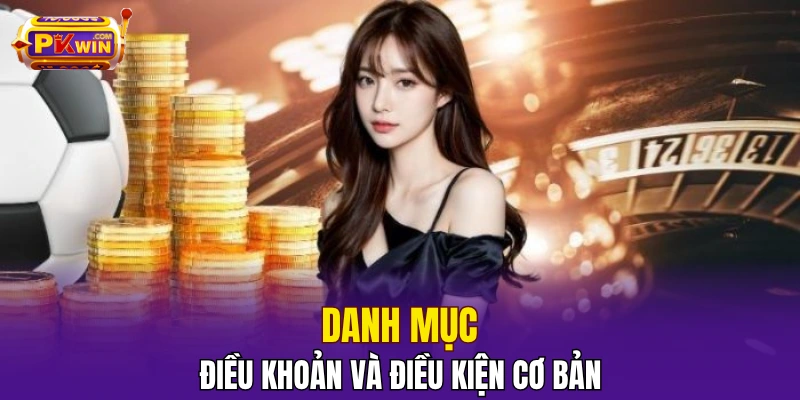 Danh mục điều khoản và điều kiện cơ bản
