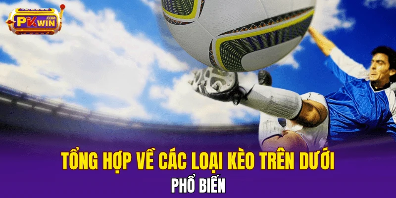 Kèo Trên Dưới - Khái Niệm Và Kinh Nghiệm Đặt Cược 2025 3 Tổng hợp về các loại kèo trên dưới phổ biến