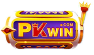 PKWIN 01